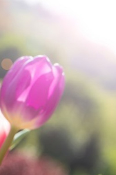 Questions For Another Time