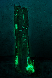 Viridescent Core