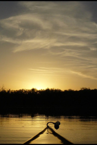 Still as Water
