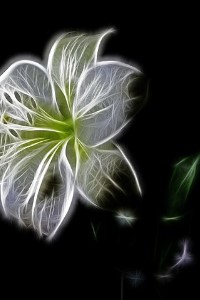 A tale of a girl and her shadow