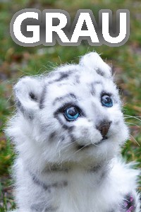 Once there was a cat...