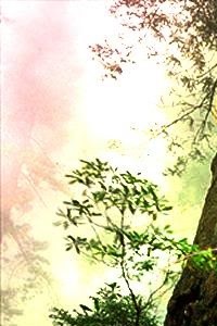 Shut-in Another World