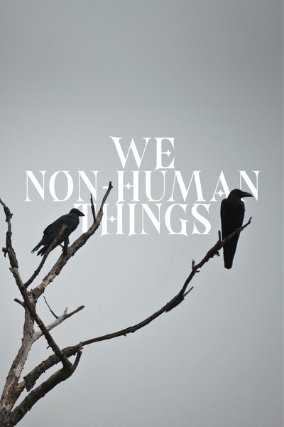 We Non Human Things