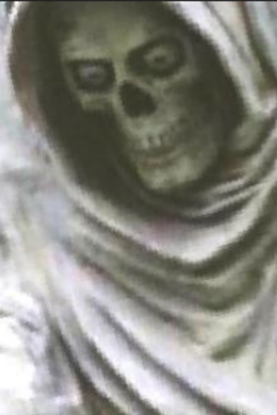 Murderhobo Vs Otome World