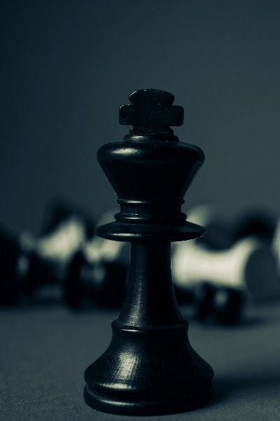 Trapped In The Novel Of Criminal World