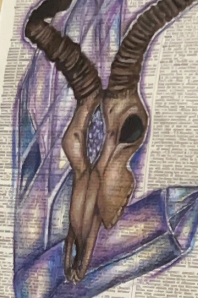 The Plague of a Poet (a poetry book)